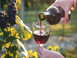 Guided Tour of the Chianti Wine Region with 2 Wine Tastings and Vineyards Escape